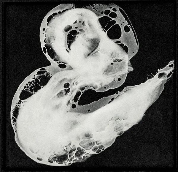 30 x 30 cm