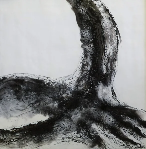 50 x 50 cm