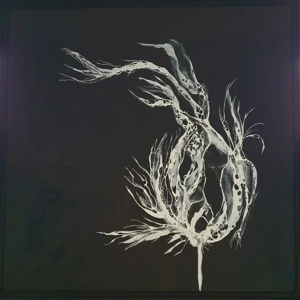 50 x 50 cm