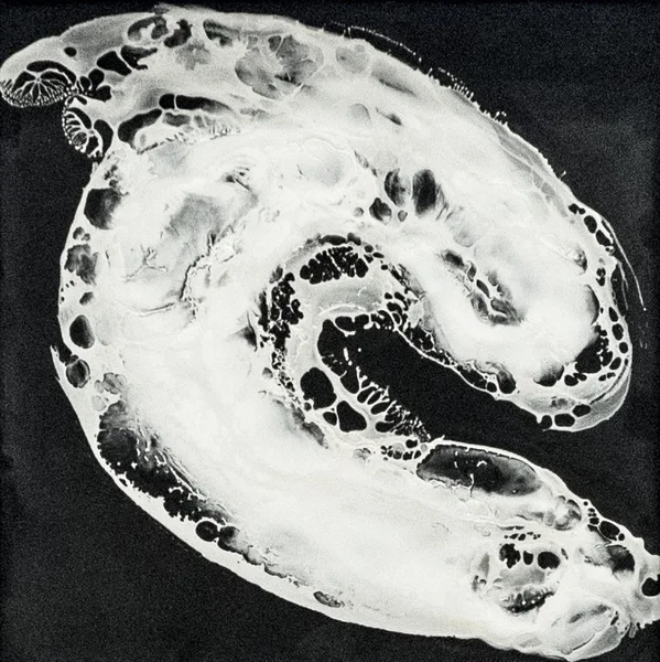 30 x 30 cm