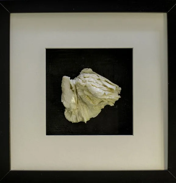 25 x 25 cm