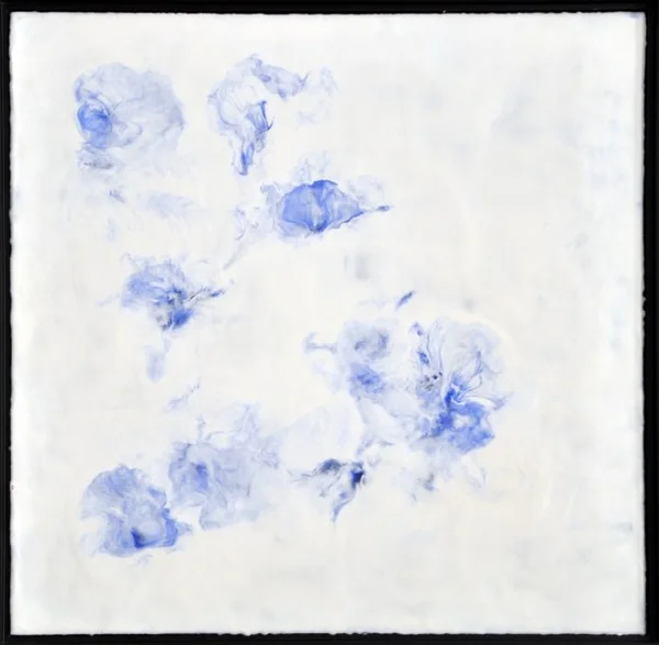 50 x 50 cm